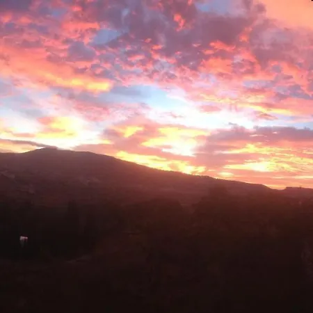 Calamora アパート *